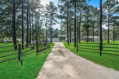 5345 Deep Forest Trail