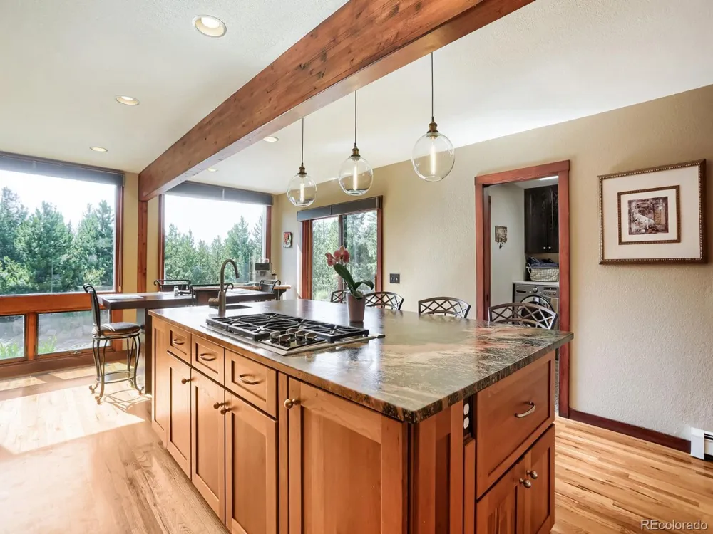 32142 Black Widow Drive Conifer, CO 80433