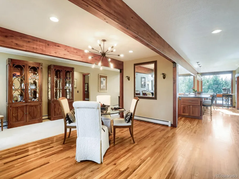 32142 Black Widow Drive Conifer, CO 80433