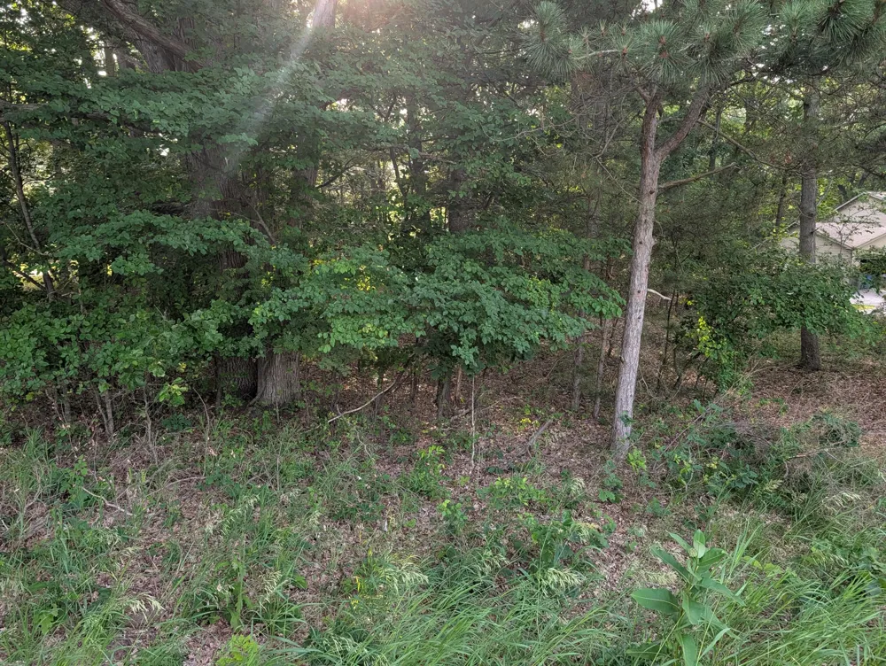 Ramona Drive #lot 14 Manistee, MI 49660