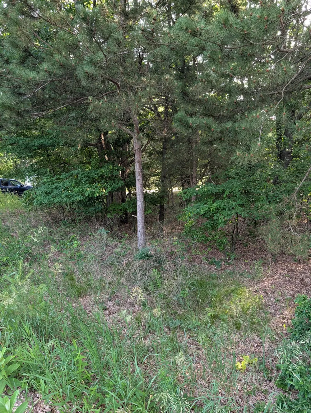 Ramona Drive #lot 14 Manistee, MI 49660