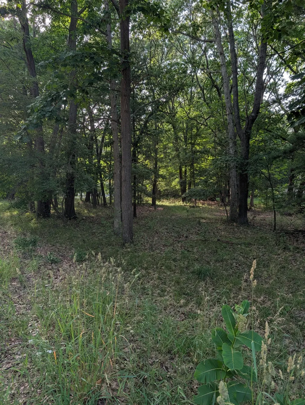 Ramona Drive #lot 14 Manistee, MI 49660