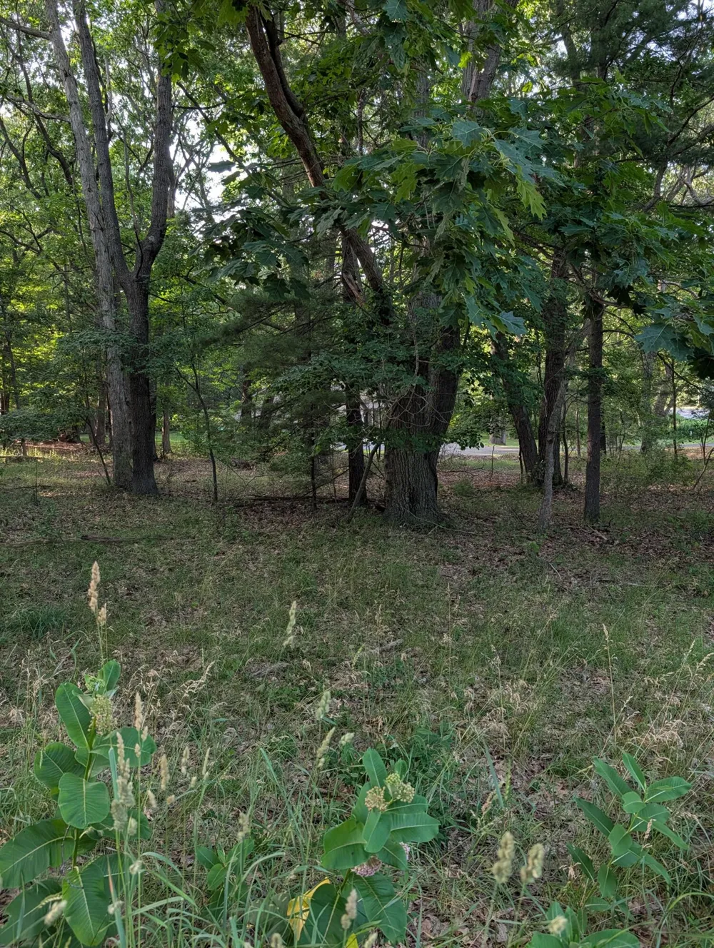 Ramona Drive #lot 14 Manistee, MI 49660