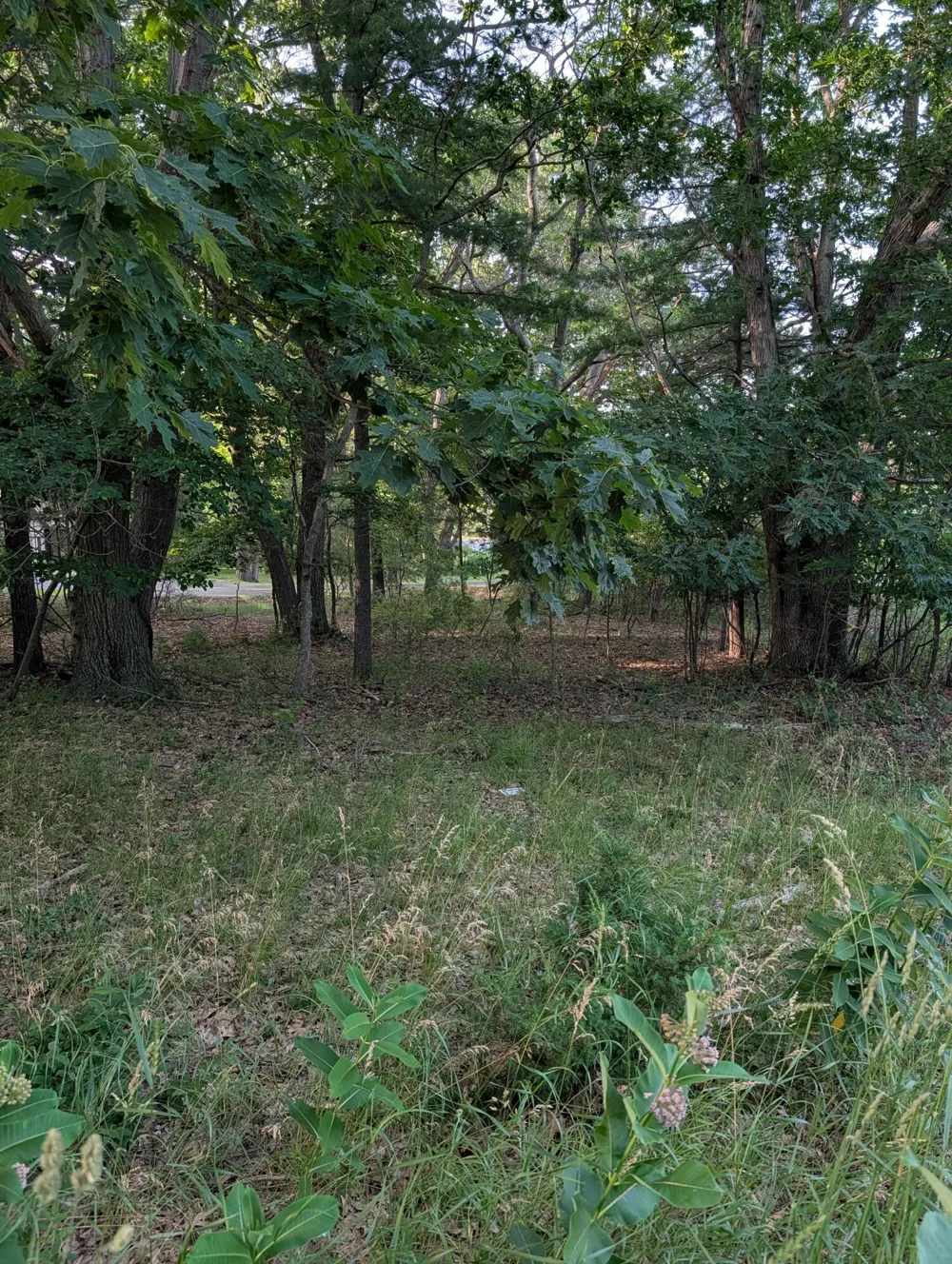 Ramona Drive #lot 14 Manistee, MI 49660