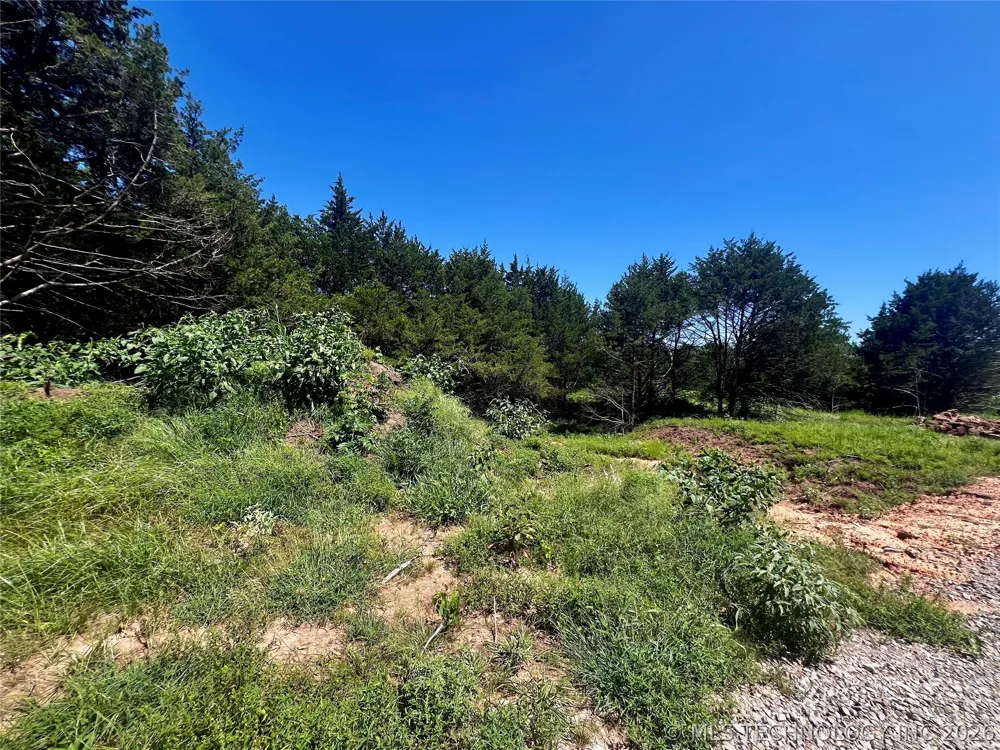 8 Dynamite Road Agra, OK 74824