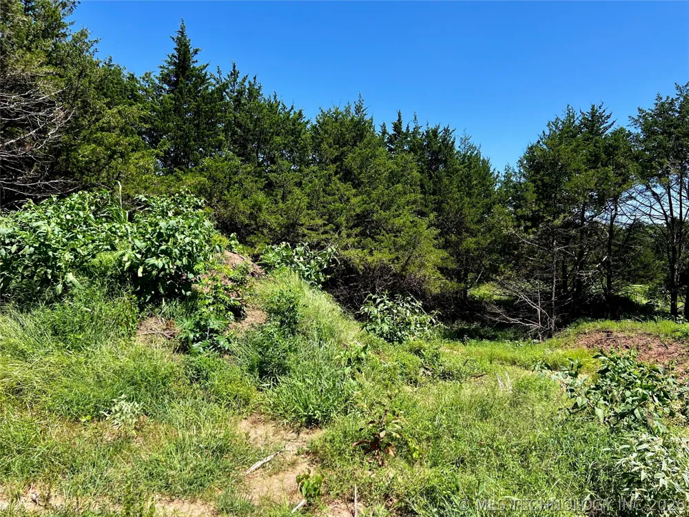 8 Dynamite Road Agra, OK 74824