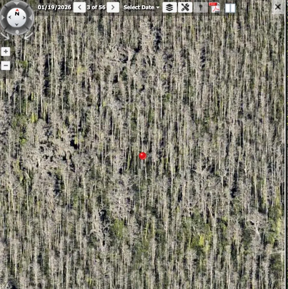 HOLOPAW GROVES ROAD #Lot 99 & 100 St Cloud, FL 34773