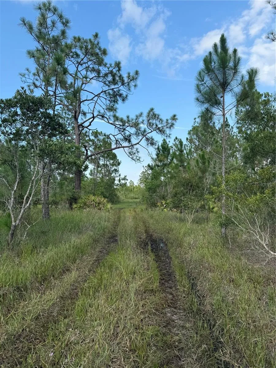 HOLOPAW GROVES ROAD #Lot 99 & 100 St Cloud, FL 34773