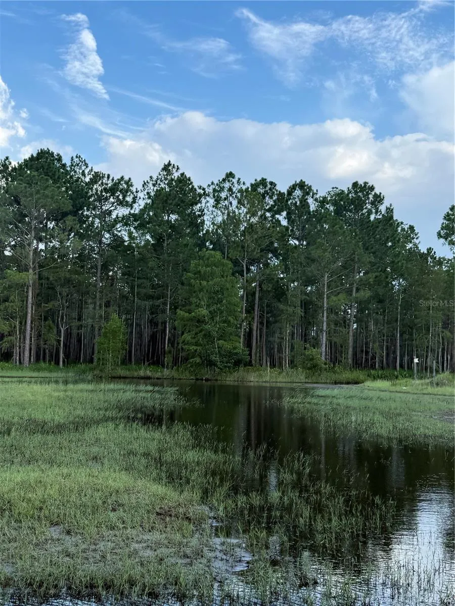 HOLOPAW GROVES ROAD #Lot 99 & 100 St Cloud, FL 34773