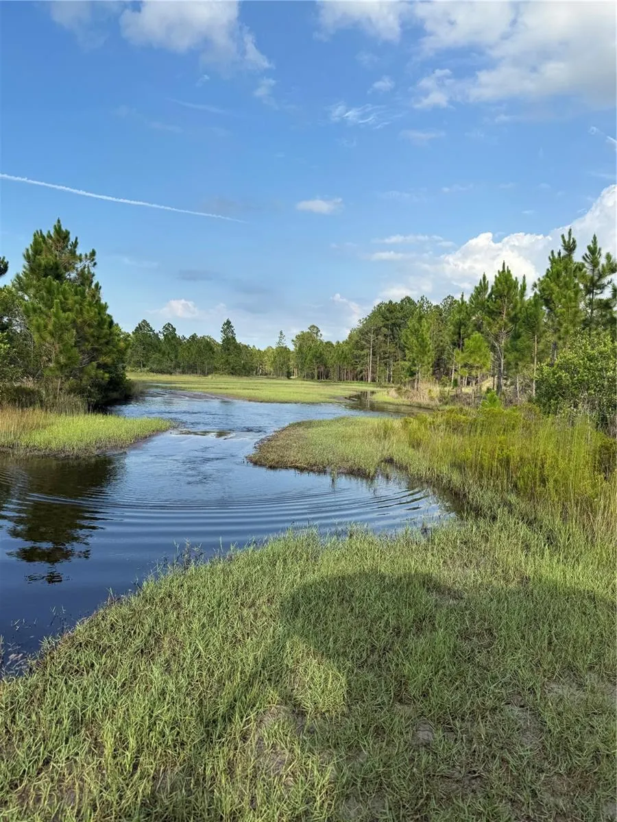 HOLOPAW GROVES ROAD #Lot 99 & 100 St Cloud, FL 34773