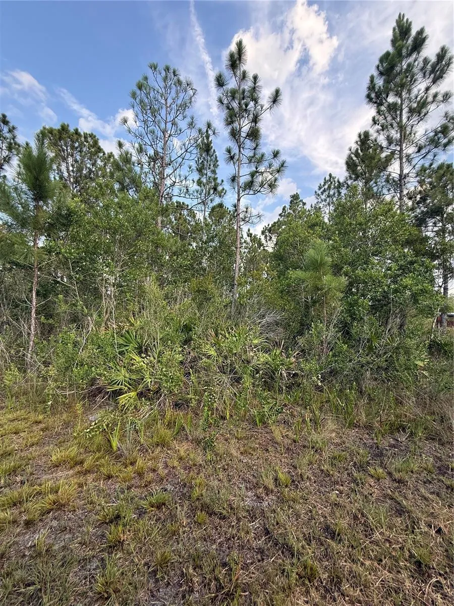 HOLOPAW GROVES ROAD #Lot 99 & 100 St Cloud, FL 34773
