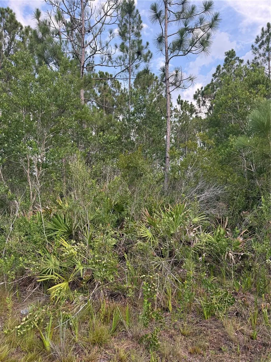 HOLOPAW GROVES ROAD #Lot 99 & 100 St Cloud, FL 34773