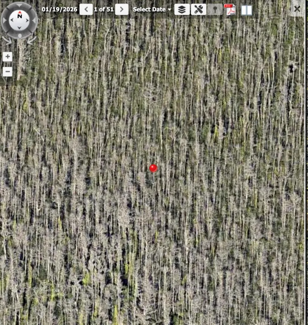 HOLOPAW GROVES ROAD #Lot 125 & 126 St Cloud, FL 34773