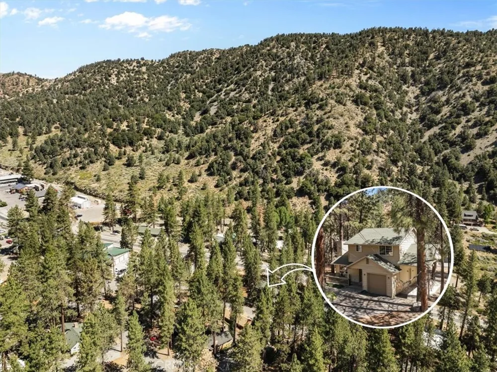 1536 Ross Wrightwood, CA 92397
