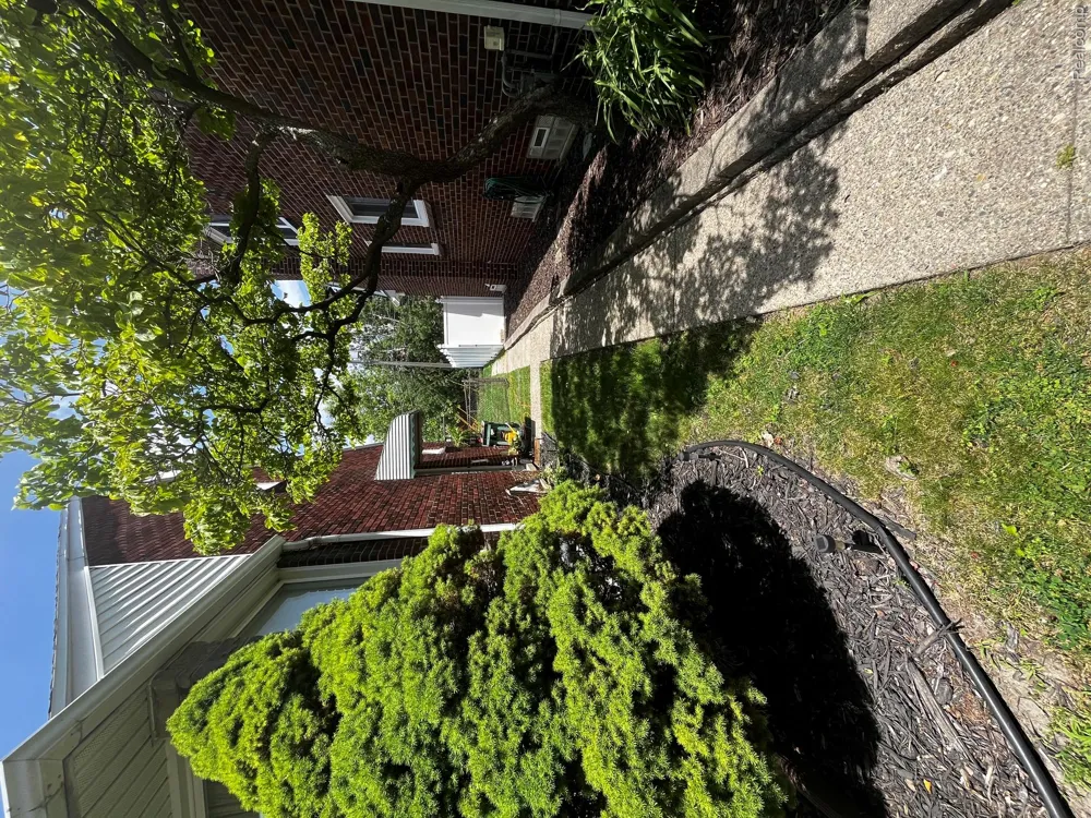 15854 Englewood Avenue Allen Park City, MI 48101