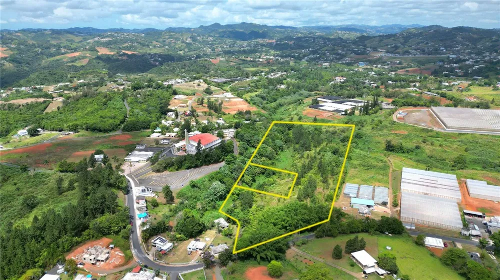 779 St. QUEBRADILLAS Barranquitas, PR 00794