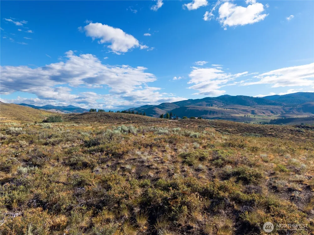 35 Chewuch Heights Road Winthrop, WA 98862