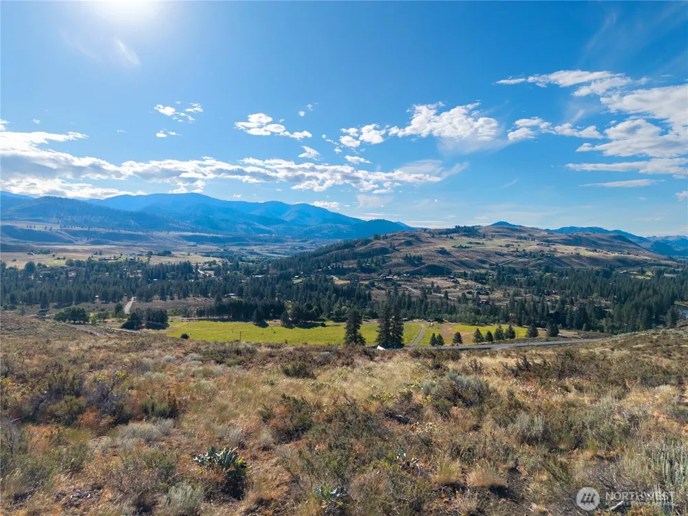 35 Chewuch Heights Road Winthrop, WA 98862