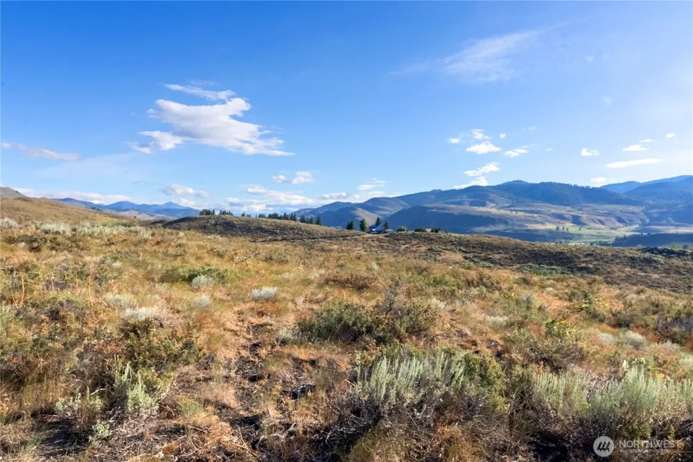 35 Chewuch Heights Road Winthrop, WA 98862