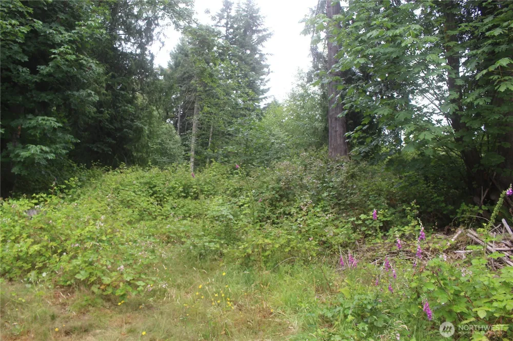 0 State Highway 104 Kingston, WA 98346