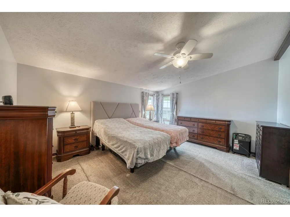 29650 Pinon Lane Buena Vista, CO 81211
