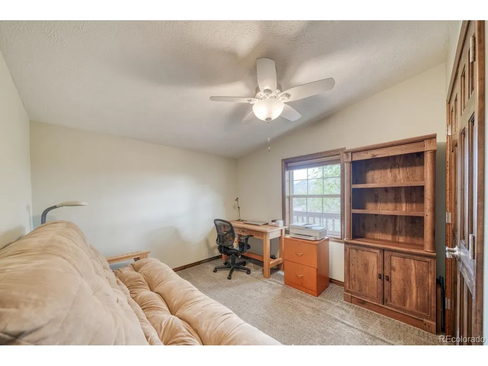 29650 Pinon Lane Buena Vista, CO 81211