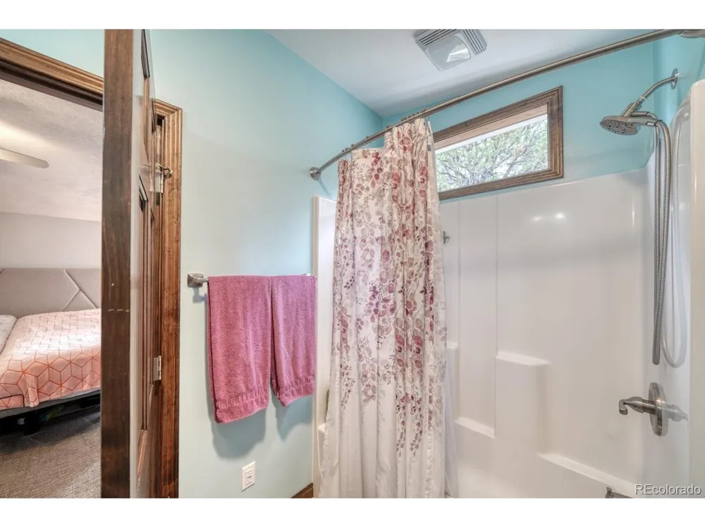 29650 Pinon Lane Buena Vista, CO 81211