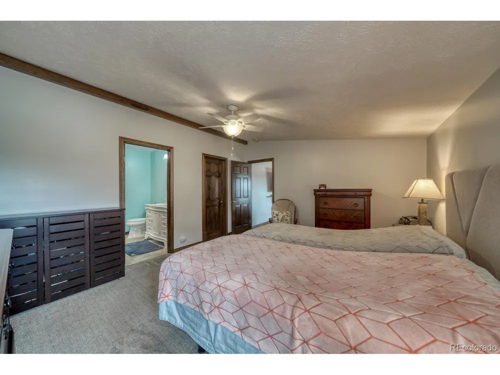 29650 Pinon Lane Buena Vista, CO 81211