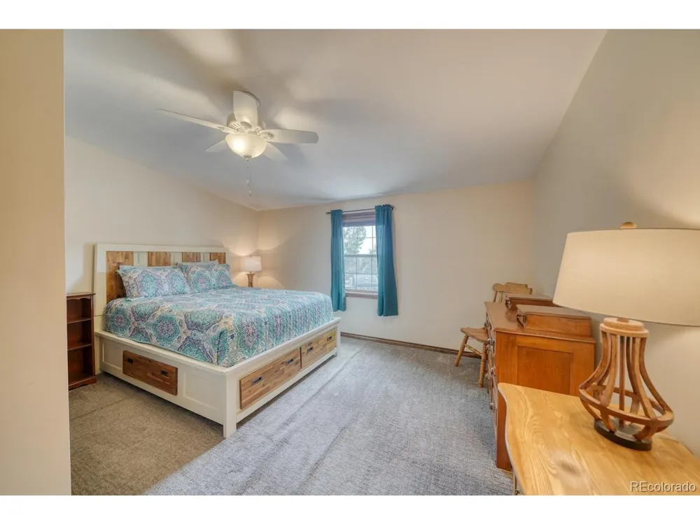 29650 Pinon Lane Buena Vista, CO 81211