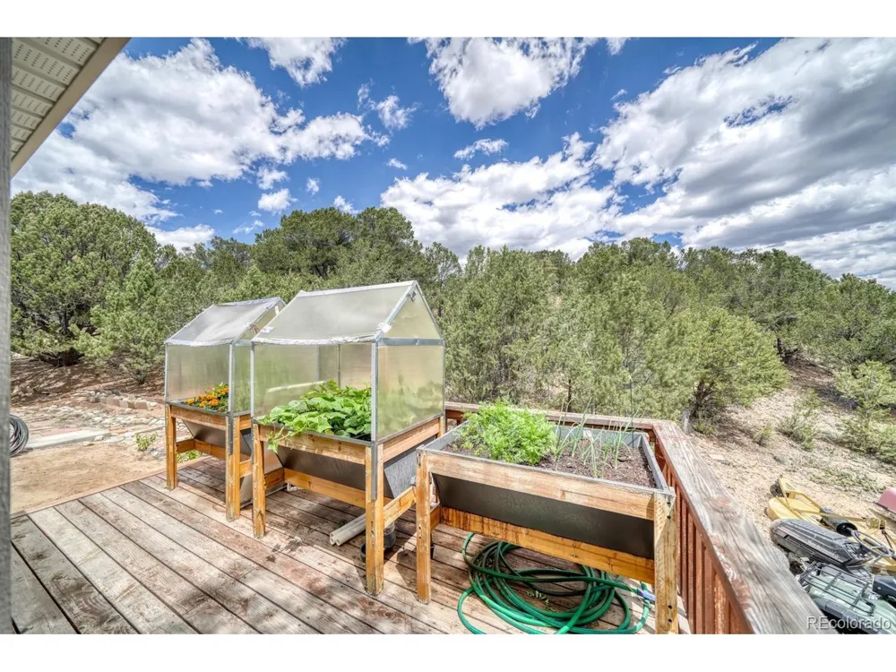 29650 Pinon Lane Buena Vista, CO 81211