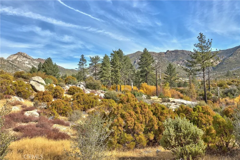 58111 Bonita Vista Road Mountain Center, CA 92561