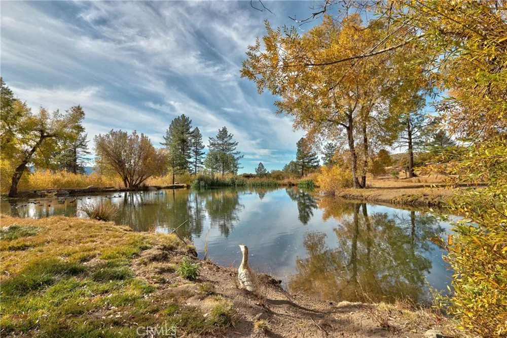 58111 Bonita Vista Road Mountain Center, CA 92561