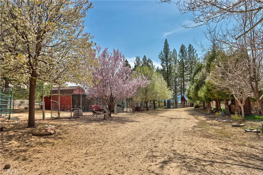 58111 Bonita Vista Road Mountain Center, CA 92561