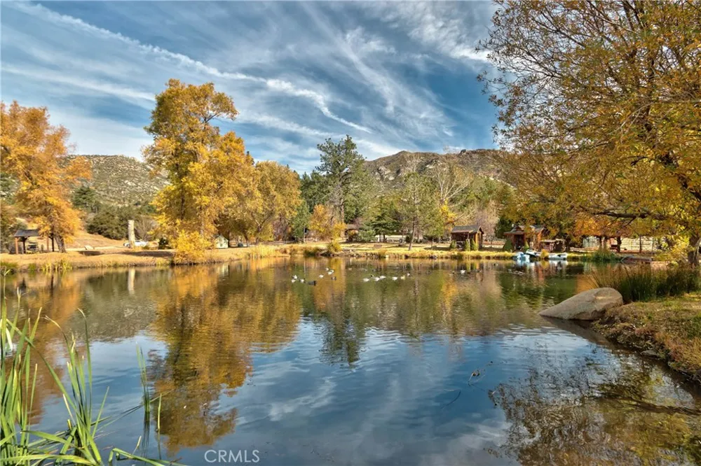 58111 Bonita Vista Road Mountain Center, CA 92561