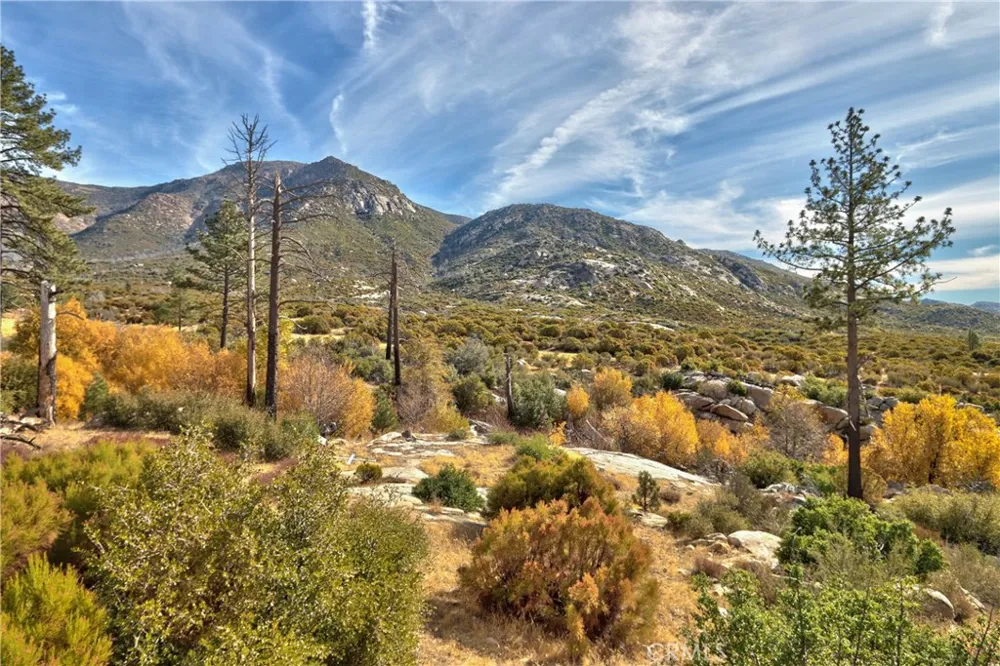 58111 Bonita Vista Road Mountain Center, CA 92561
