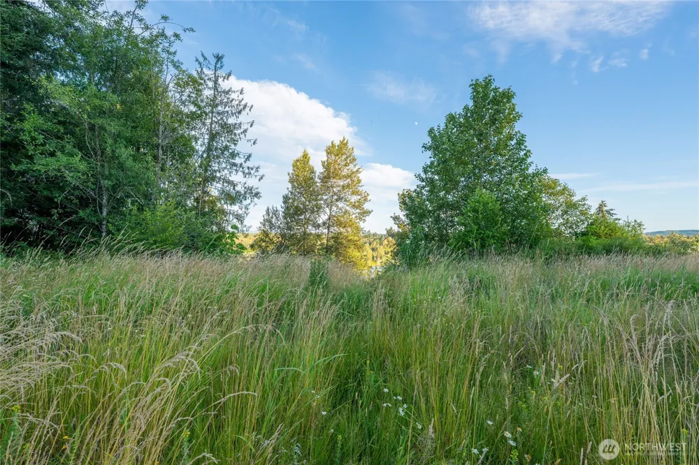 0 Middlecrest Drive #Lot1-5 Toledo, WA 98591