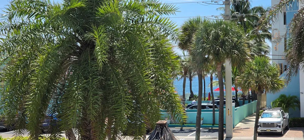 4228 Ocean Drive #34 Lauderdale By The Sea, FL 33308
