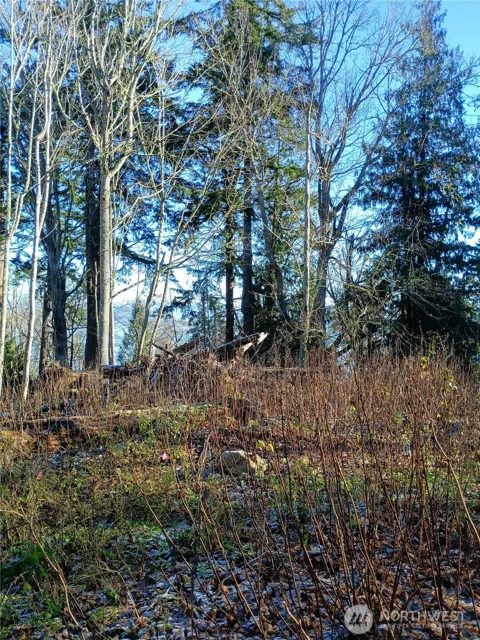 49 K Tulalip Way