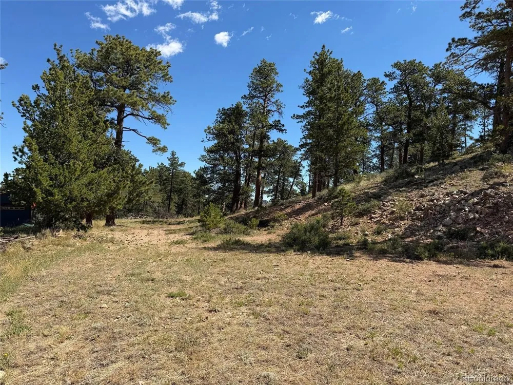 168 Main Street Red Feather Lakes, CO 80545