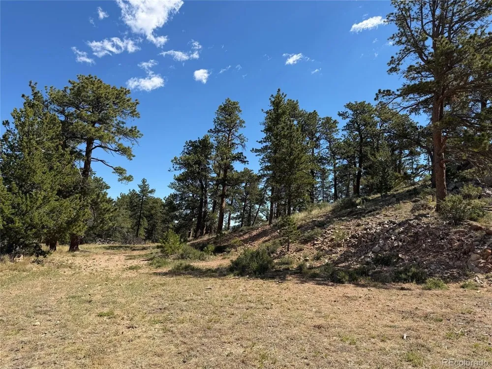 168 Main Street Red Feather Lakes, CO 80545