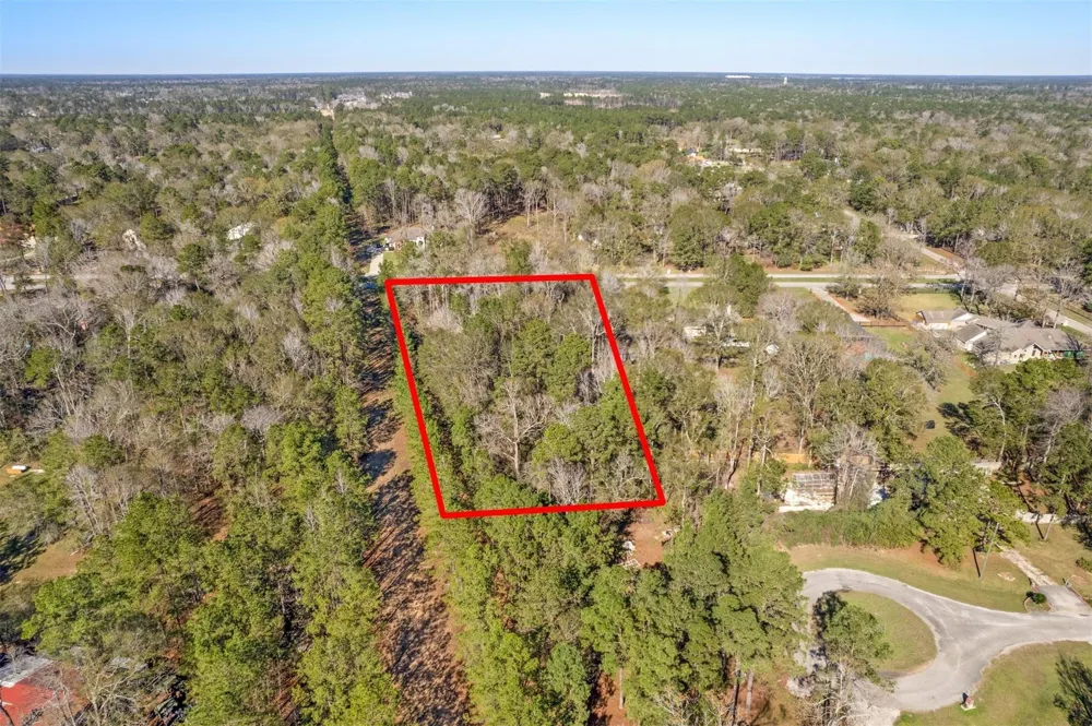 19388 Riverwalk Drive Porter, TX 77365
