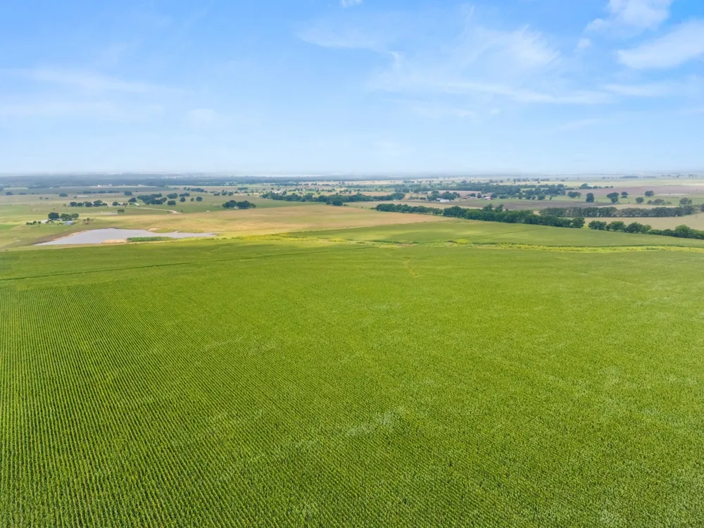 160 Covered Wagon Trail Crawford, TX 76638