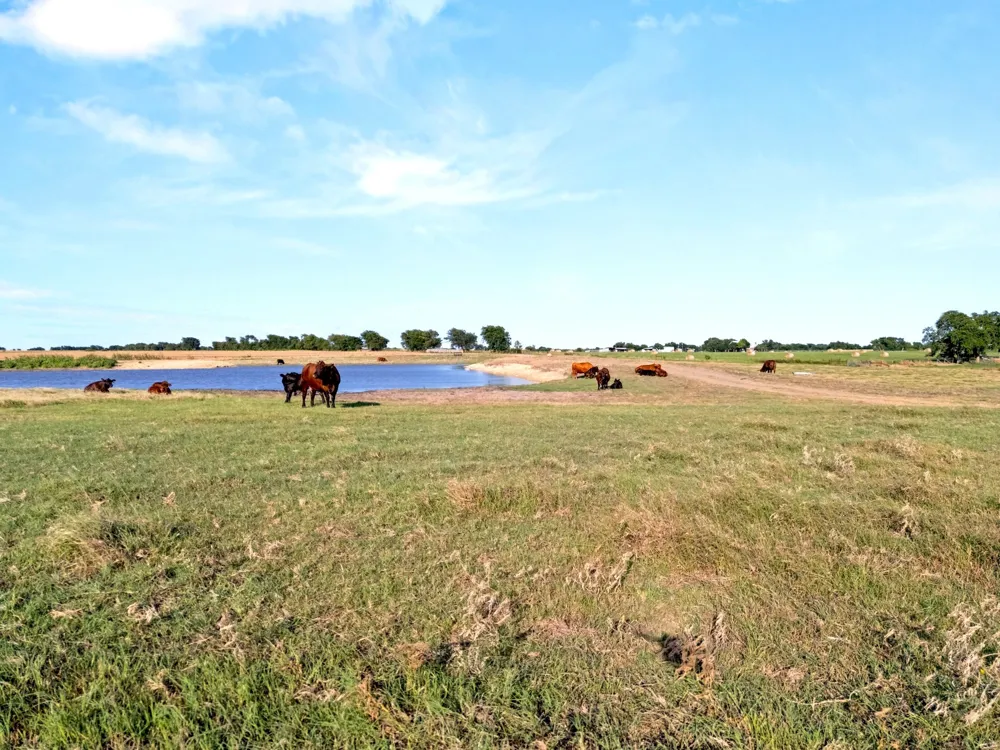 160 Covered Wagon Trail Crawford, TX 76638