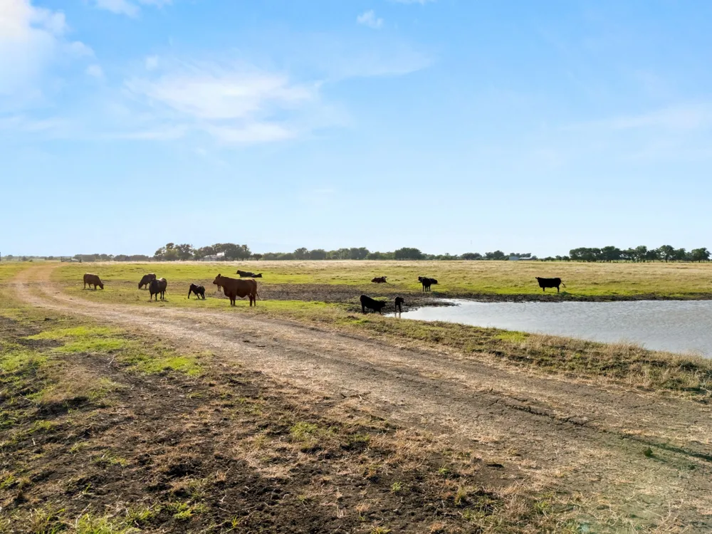 160 Covered Wagon Trail Crawford, TX 76638