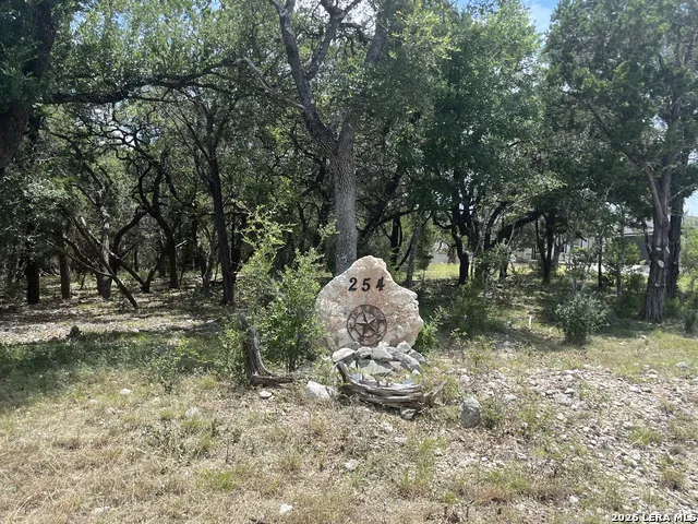 254 Flanders Fischer, TX 78623