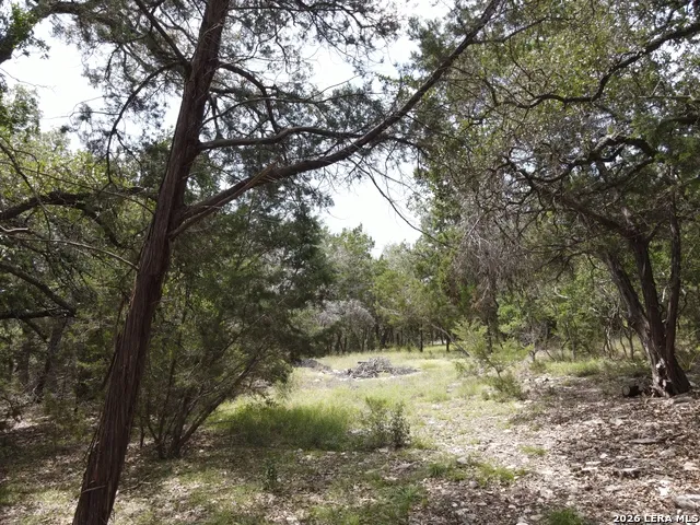 254 Flanders Fischer, TX 78623