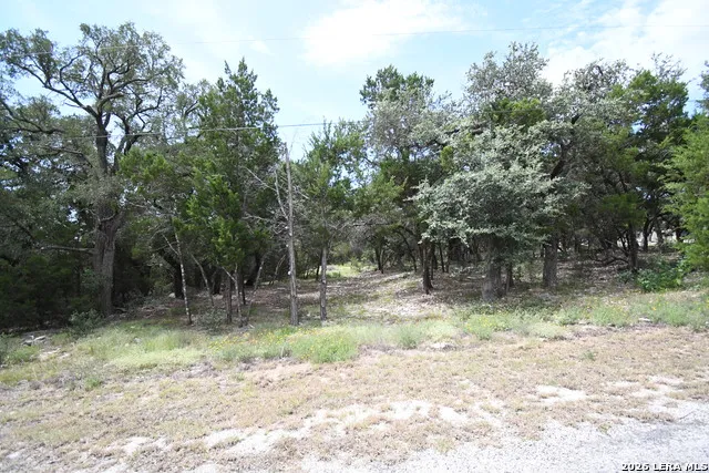 254 Flanders Fischer, TX 78623