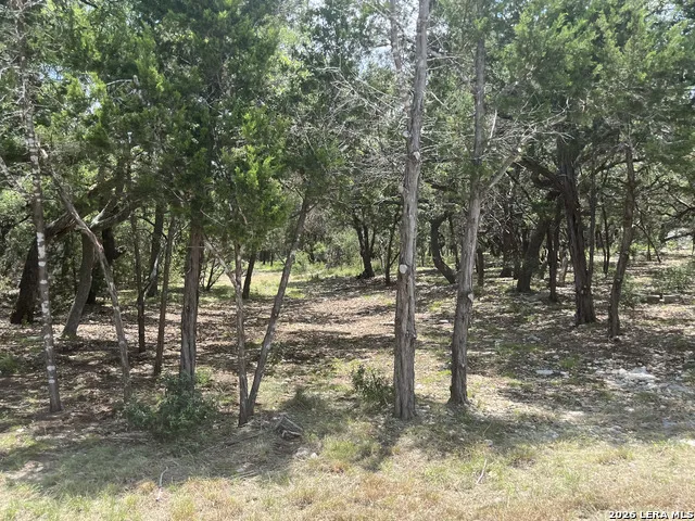 254 Flanders Fischer, TX 78623