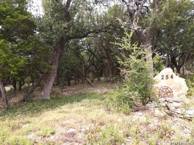 254 Flanders Fischer, TX 78623