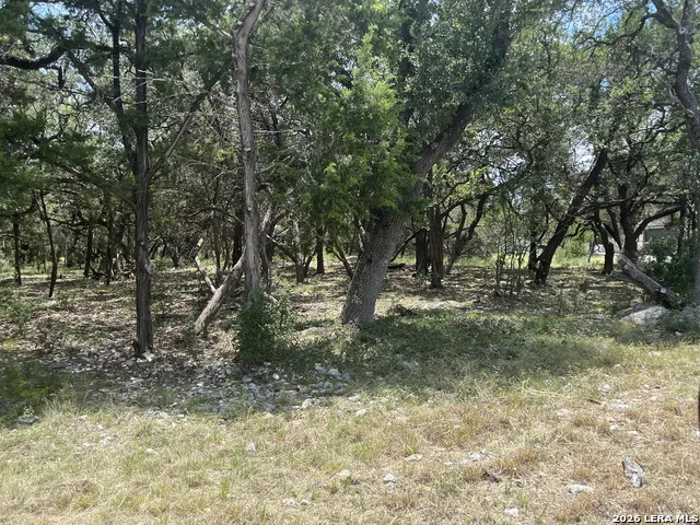 254 Flanders Fischer, TX 78623